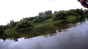Плотва ловля в проводку на пшеницу