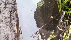Фантан на даче без электричества