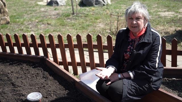 Выращивайте томаты без рассады ➔ Результат 100% здоровые томаты смотреть онлайн