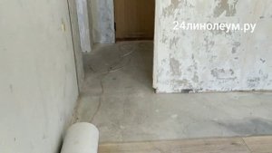 Линолеум Сенатор Вагнер 1. Как смотрится в квартире.