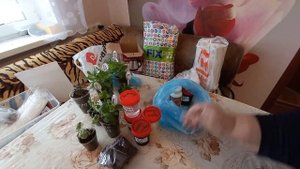 ПОКУПКИ И ПОДАРКИ ОТ МАРИНЫ КАНАЛ (СУРСКИЕ ЗОРИ)