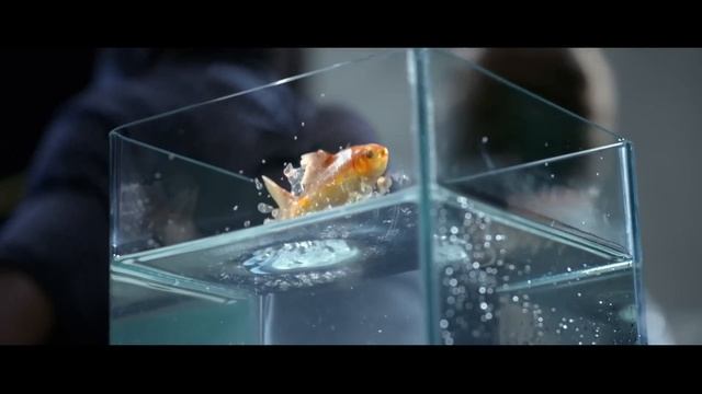 FIFA 15 - Official TV Commercial смотреть онлайн