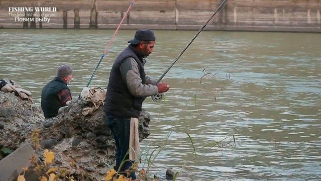 Хит Сезона! На это лови весь октябрь всю рыбу Сало для рыбалки о котором ты не знаешь! смотреть онлайн