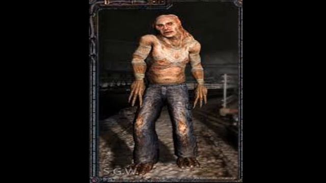 Кто такой контролёр?STALKER WIKI.№1