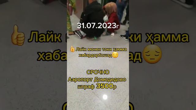 Штраф 3500р Аэропорт Домодедово 😳😳✈️✈️