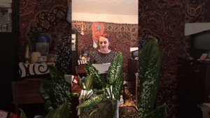 авторские стихотворения от Нины Бородай