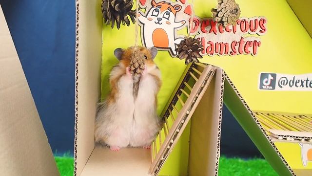 Хомяк в лабиринте. 7 уровней в виде надписи Hamster смотреть онлайн