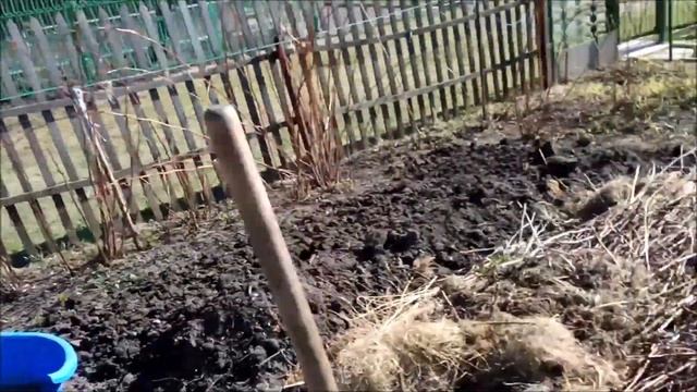 Как сделать грядку для огурцов смотреть онлайн