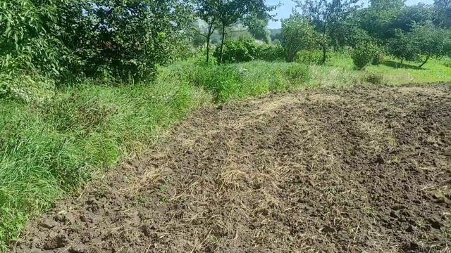 Коп по здискованих полях 2023.Город по Черняхах. смотреть онлайн