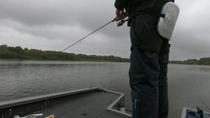 Осетры на джиг  Ока август 2019  Московская область