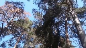 База отдыха "Морской"  (Тольятти)