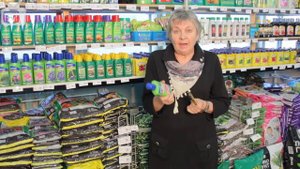 Удобрения для цветов. Жидкое и сухое удобрение - в чем отличие?