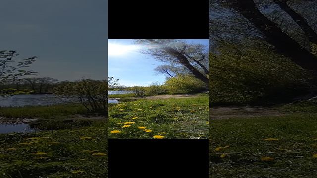лето пришло 🌿