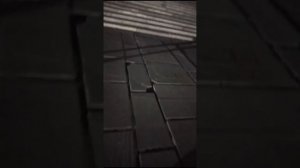 Методики 1-4.