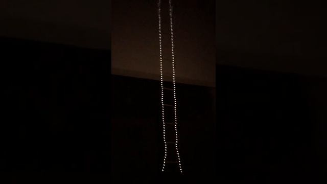 Reflective rope ladder