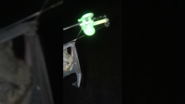 Спасение летучей мыши смотреть онлайн