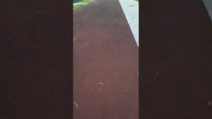 Ремонт резинового покрытия