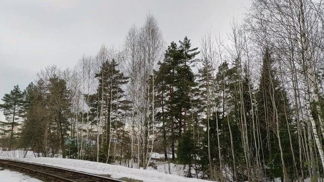 Russian railways: inactive branch Vladimir - Tumskaya with beautiful locomotives смотреть онлайн