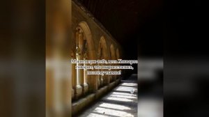 фф из тик тока про Драко Малфоя и т/и "больше чем враги"?? часть 12