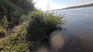 ОГРОМНЫЙ ЛЕЩ! Рыбалка на ОКЕ! первого сентября! 🐟.