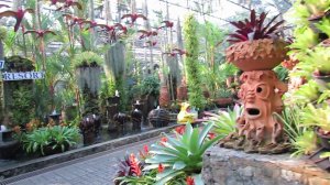 Таиланд февраль 2018 г  ПАРК мадам Нонг Нуч