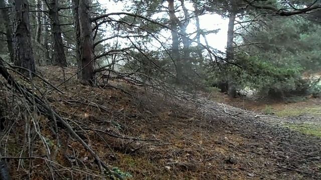 СОЛНЕЧНОЕ ЗАТМЕНИЕ 14 ДЕКАБРЯ 2020. В ЧЕМ ОПАСНОСТЬ.. ВЛИЯНИЕ НА ЛЮДЕЙ.. ВРЕМЯ ПЕРЕМЕН... смотреть онлайн