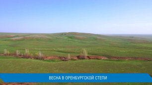 Видеозарисовка "Весна в оренбургская степи"
