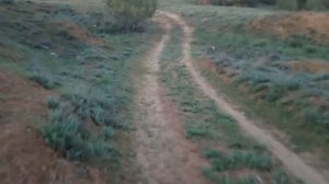 Рыбалка в Пологом Займище