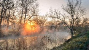 Бледнеет ночь ("Бледнеет ночь... Туманов пелена"), Бунин Иван