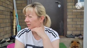 Теплая грядка для томат Гортензия крупнолистнвя Дачные будни