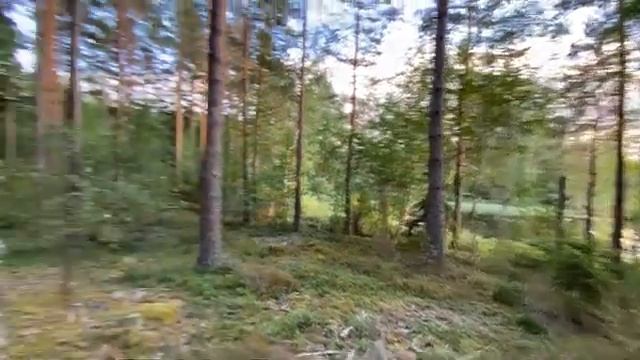 SOLO CAMPING: Girl alone in the woods for 3 days (Part 1) смотреть онлайн
