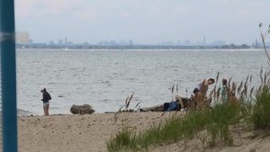Пляжи: Дюны и Старый Бердск . Город Бердск, Новосибирская область, Западная Сибирь. 2022 год