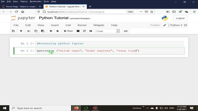 Indexing In Tuples | Python 4 You | Lecture 125