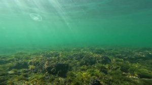 Азовское море