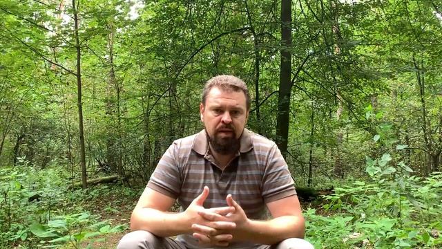 Почему Пежо 308 - отличный автомобиль?