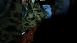 МОЯ КОШКА УМИРАЕТ