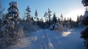 Легкоходный эксперимент \ -10 Тент \ Поход на 4 дня \ Январь 2019 г.