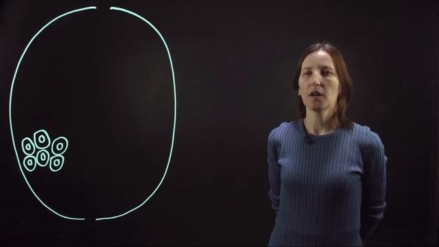 2. Органы и системы органов. Часть 1. Зоология беспозвоночных -  7 класс