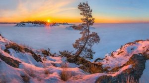 675. ♫ .Эдгар Туниянц  ~"Цените каждое мгновенье"~