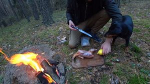Охота с лука на фазанов Запекаю фазана в каменной яме