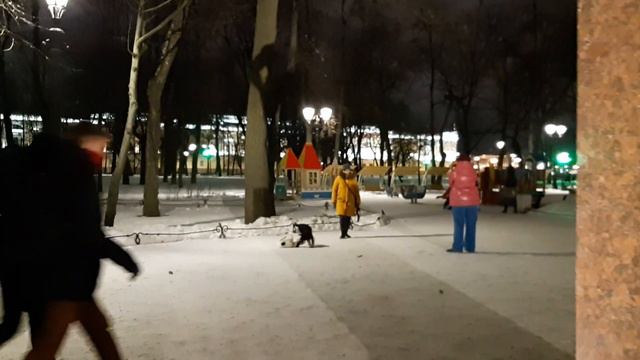#СанктПетербург2023 #АлександровскийСад #ВечерняяПрогулка