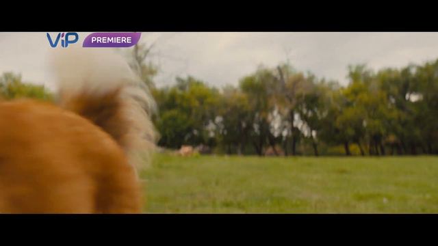 Смотрите в марте на канале ViP Premiere смотреть онлайн