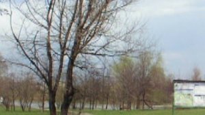 Поездка на автобусе (снято с цифровика)