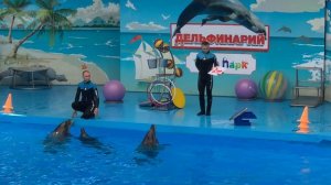 Шоу Дельфинов, Дельфинарий Сочи-Парк