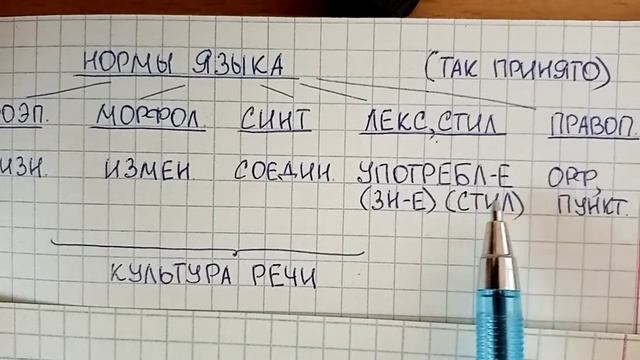 Нормы языка – что это такое простыми словами, какие они бывают и зачем нужны