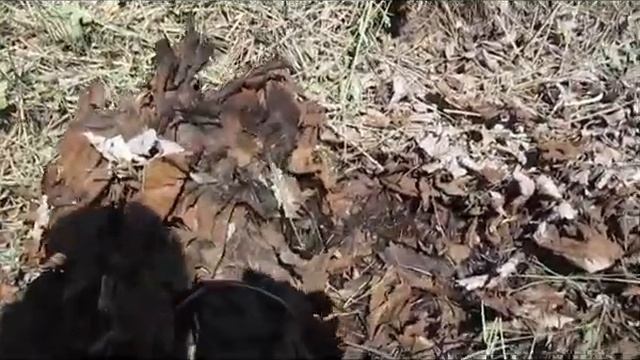 Валоканава,принцип работы. смотреть онлайн