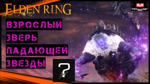 Elden Ring ВЗРОСЛЫЙ ЗВЕРЬ ПАДАЮЩЕЙ ЗВЕЗДЫ