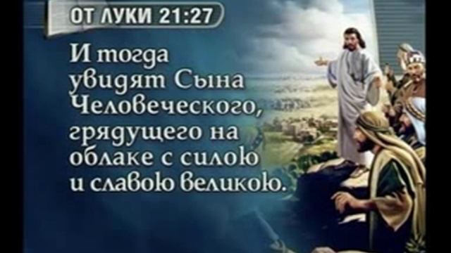 Берегитесь обмана. смотреть онлайн