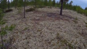 Север коп 3030