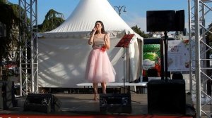 Московских окон негасимый свет